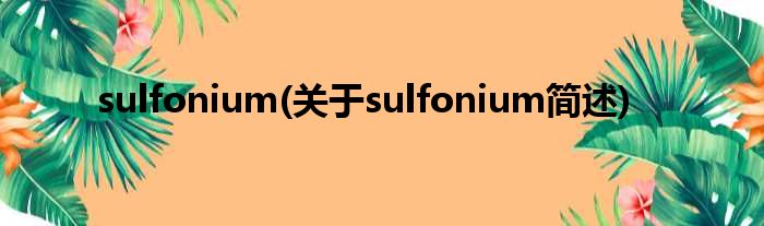 sulfonium(对于sulfonium简述)