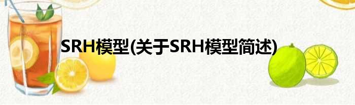 SRH模子(对于SRH模子简述)
