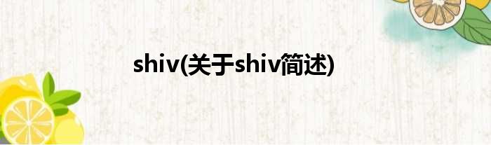 shiv(对于shiv简述)