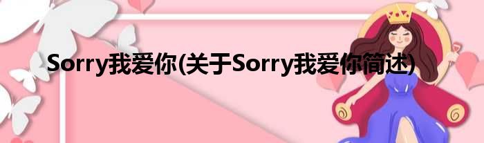 Sorry我爱你(对于Sorry我爱你简述)