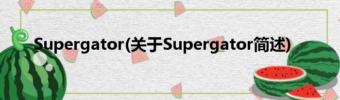 Supergator(对于Supergator简述)