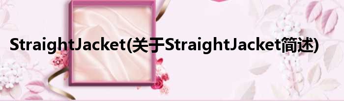 StraightJacket(对于StraightJacket简述)