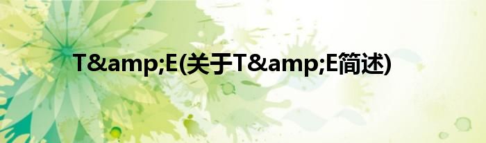 T&amp;E(对于T&amp;E简述)