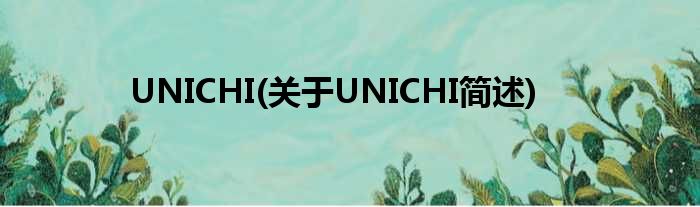 UNICHI(对于UNICHI简述)