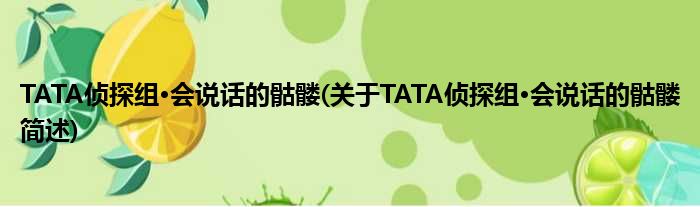 TATA侦探组·会语言的骷髅(对于TATA侦探组·会语言的骷髅简述)
