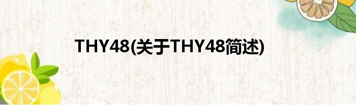 THY48(对于THY48简述)
