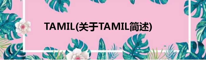 TAMIL(对于TAMIL简述)