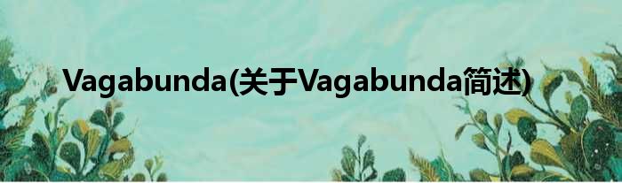 Vagabunda(对于Vagabunda简述)