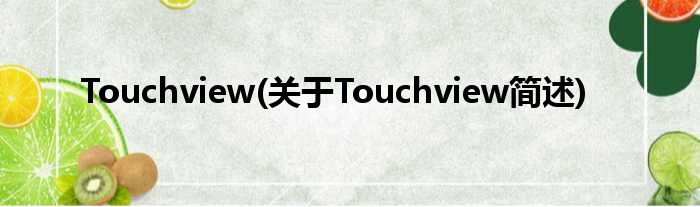 Touchview(对于Touchview简述)