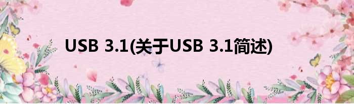 USB 3.1(对于USB 3.1简述)