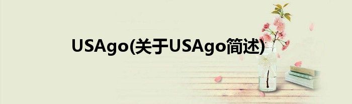 USAgo(对于USAgo简述)
