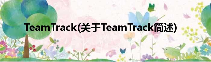TeamTrack(对于TeamTrack简述)