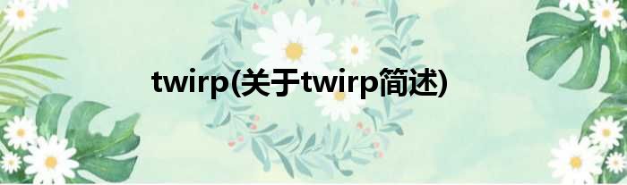 twirp(对于twirp简述)