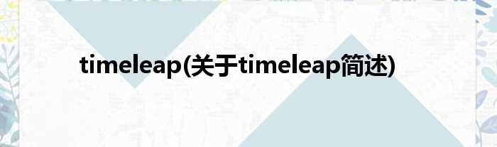 timeleap(对于timeleap简述)