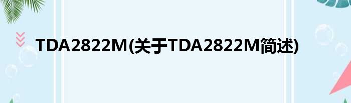 TDA2822M(对于TDA2822M简述)