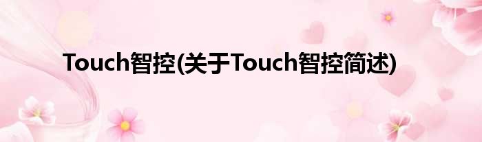 Touch智控(对于Touch智控简述)