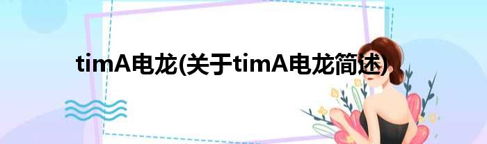 timA电龙(对于timA电龙简述)