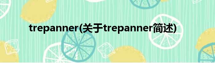 trepanner(对于trepanner简述)