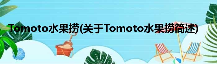 Tomoto瓜果捞(对于Tomoto瓜果捞简述)