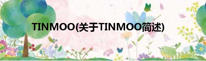 TINMOO(对于TINMOO简述)