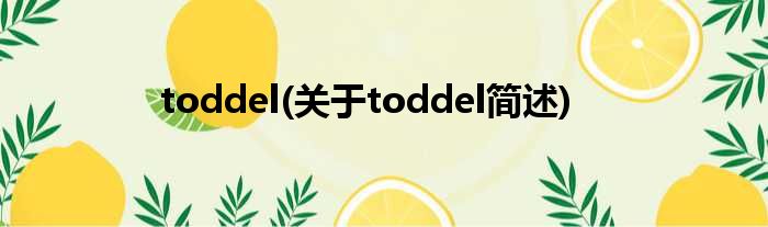 toddel(对于toddel简述)