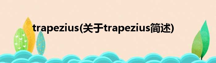 trapezius(对于trapezius简述)