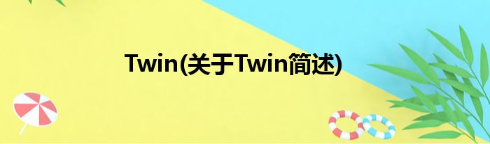 Twin(对于Twin简述)