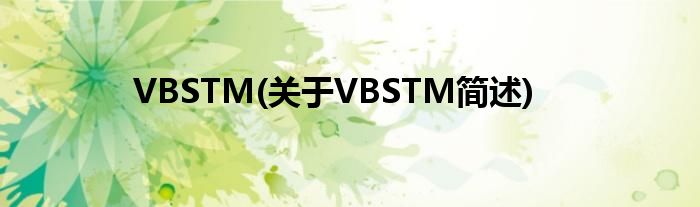 VBSTM(对于VBSTM简述)