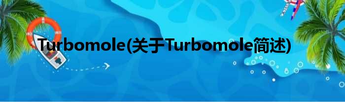 Turbomole(对于Turbomole简述)