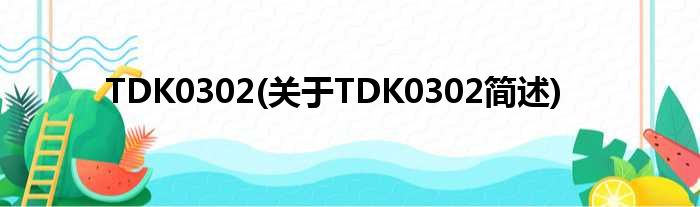 TDK0302(对于TDK0302简述)