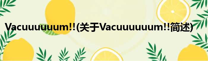 Vacuuuuuum!!(对于Vacuuuuuum!!简述)