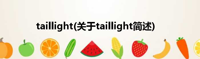 taillight(对于taillight简述)