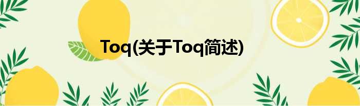 Toq(对于Toq简述)