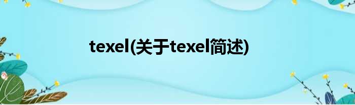 texel(对于texel简述)