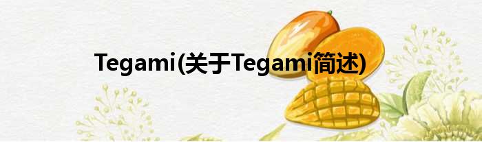 Tegami(对于Tegami简述)
