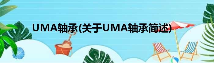 UMA轴承(对于UMA轴承简述)