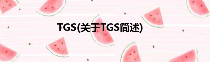 TGS(对于TGS简述)