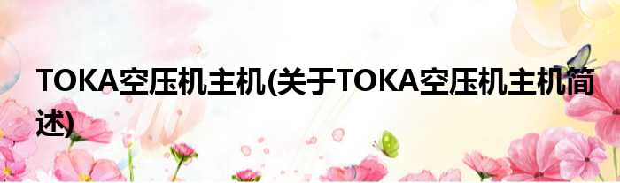 TOKA空压机主机(对于TOKA空压机主机简述)