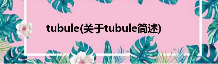 tubule(对于tubule简述)