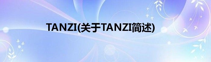 TANZI(对于TANZI简述)