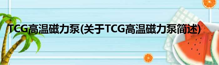 TCG高温磁力泵(对于TCG高温磁力泵简述)