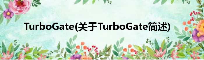 TurboGate(对于TurboGate简述)