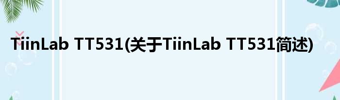 TiinLab TT531(对于TiinLab TT531简述)