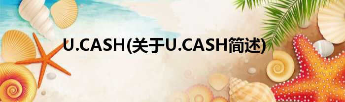 U.CASH(对于U.CASH简述)