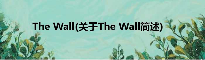 The Wall(对于The Wall简述)