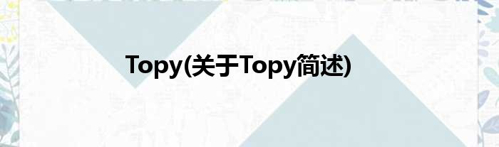 Topy(对于Topy简述)