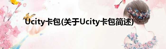 Ucity卡包(对于Ucity卡包简述)