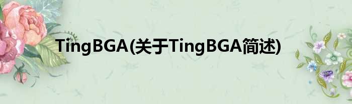 TingBGA(对于TingBGA简述)