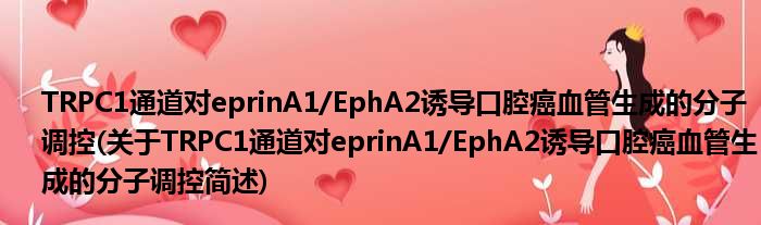 TRPC1通道对于eprinA1/EphA2诱惑口腔癌血管天生的份子调控(对于TRPC1通道对于eprinA1/EphA2诱惑口腔癌血管天生的份子调控简述)