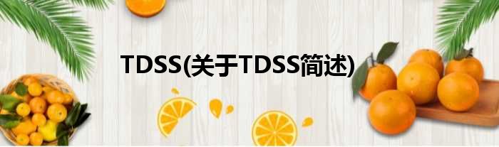 TDSS(对于TDSS简述)